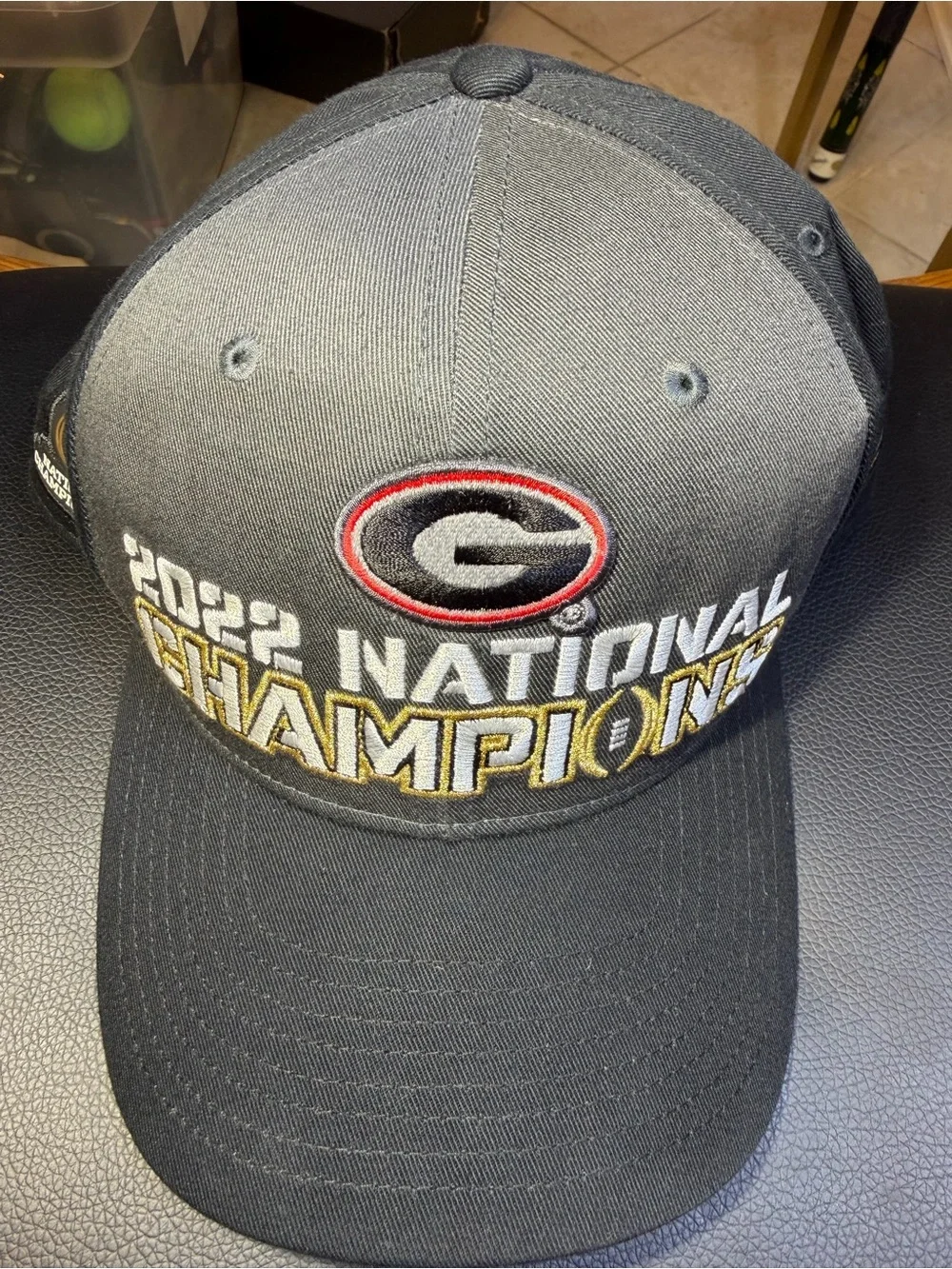 Nike Georgia 2022 National Champions Gray Embroidered Cap